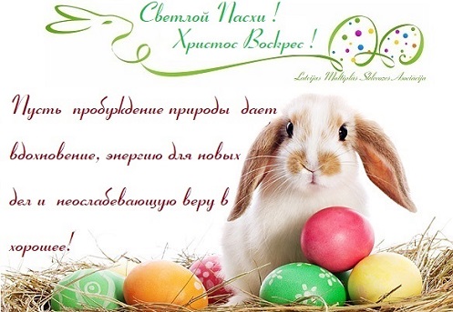 LMSA_2018 - kopija ru.jpg