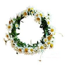 margrietas.jpg