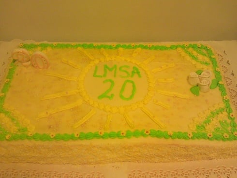 lmsa20 img 20151126 161215
