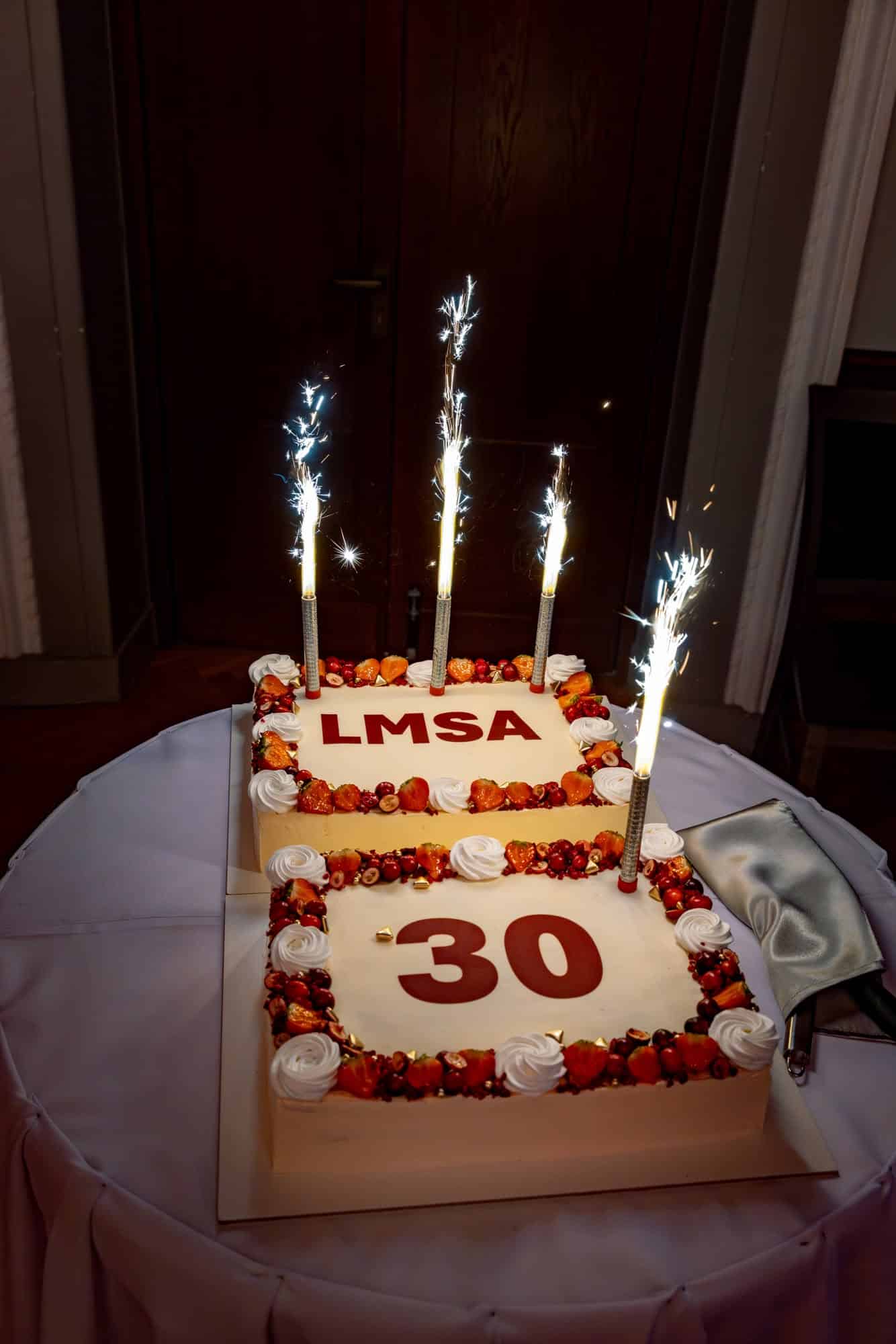LMSA 30 gadu jubilejas konference 62 594984723_1390928319207223_4011222095718856425_n